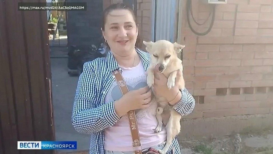 В Красноярске полицейские вернули домой пропавшую собаку
