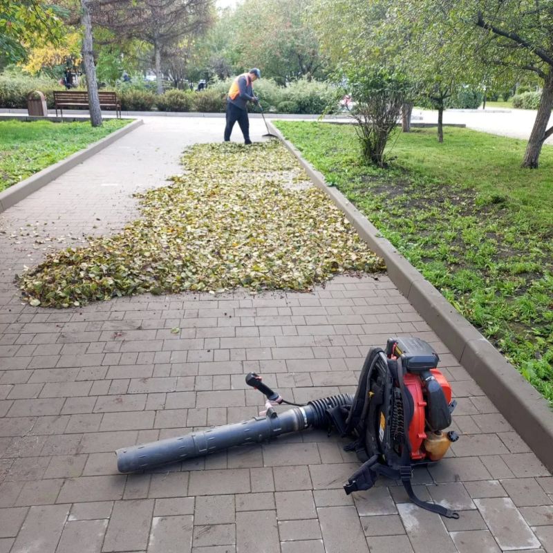 У работников Красгорпарка осенью в галерее особенно много фотографий листьев У работников Красгорпарка осенью в галерее особенно много фотографий листьев