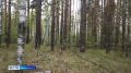 На юге края спасли 87-летнего мужчину, заблудившегося в лесу