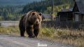 � ������ ��������� ��������� ���� ����� ������ 6 ������� ��-�� ��������� ��������