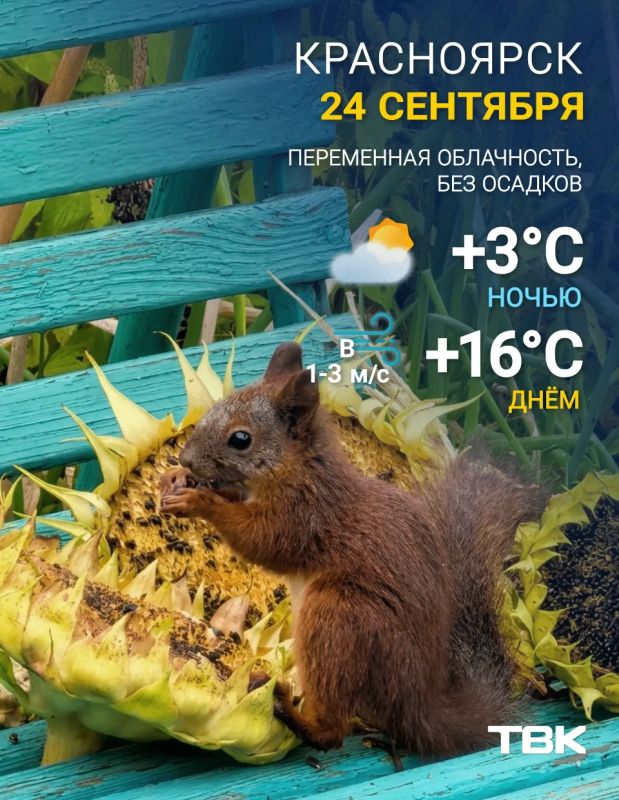 Погода на сегодня