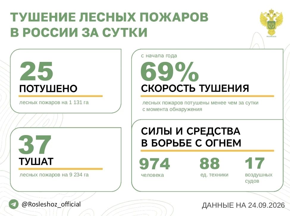 За прошедшие сутки в 5 регионах России потушили 25 лесных пожаров