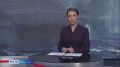 В Красноярском крае слишком много медведей