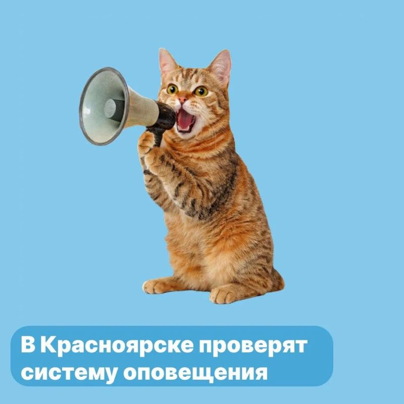 Проверка системы оповещения сегодня