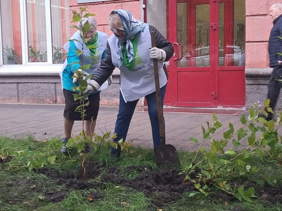 Сегодня на улице Сурикова в Красноярске появились молодые яблони и кустарники пузыреплодника