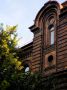 Осень заглядывает в красноярские окна