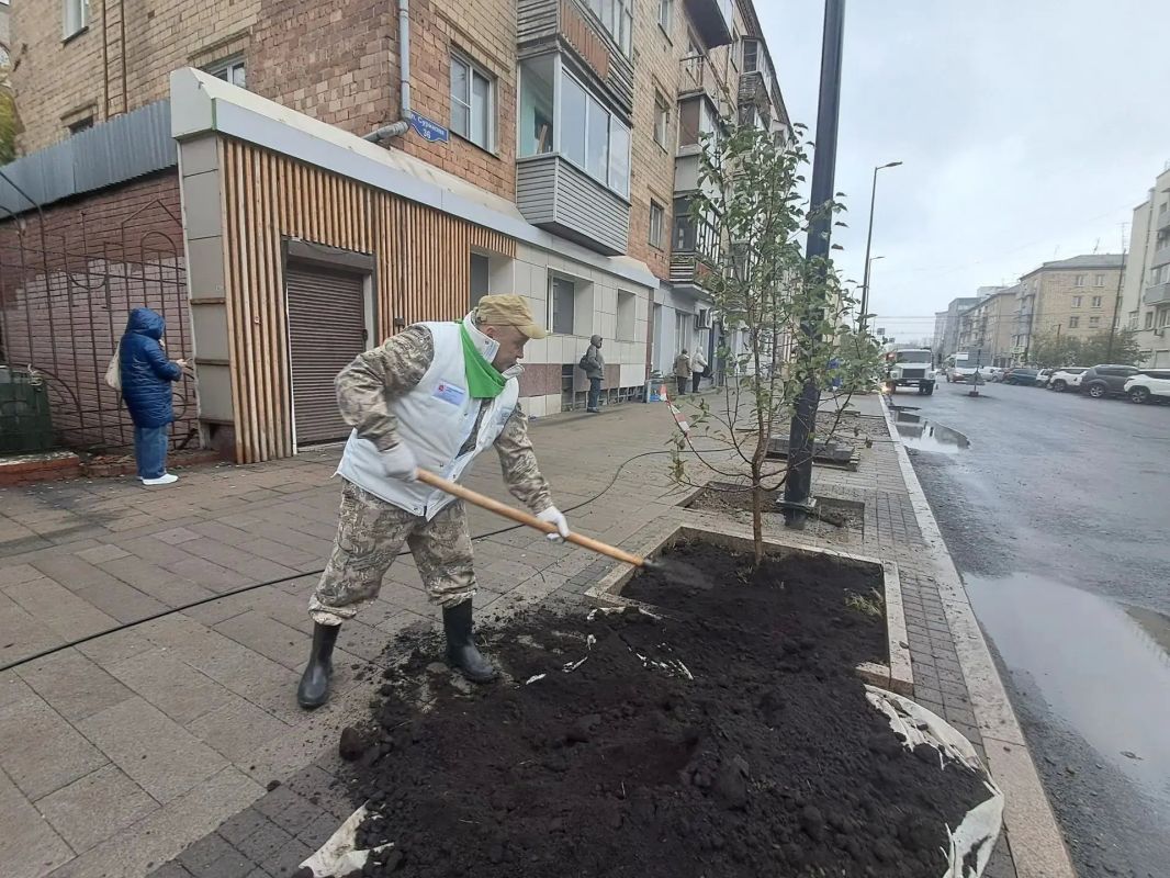 Сегодня на улице Сурикова в Красноярске появились молодые яблони и кустарники пузыреплодника Сегодня на улице Сурикова в Красноярске появились молодые яблони и кустарники пузыреплодника