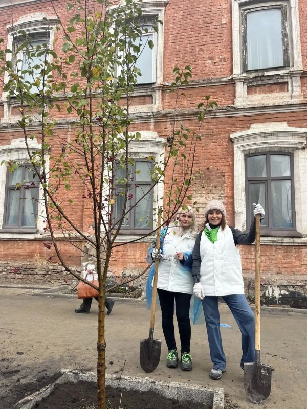 Сегодня на улице Сурикова в Красноярске появились молодые яблони и кустарники пузыреплодника Сегодня на улице Сурикова в Красноярске появились молодые яблони и кустарники пузыреплодника