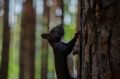 На выходных Красноярск ждет похолодание — прямо под старт отопительного сезона