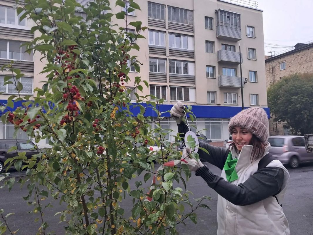 Сегодня на улице Сурикова в Красноярске появились молодые яблони и кустарники пузыреплодника Сегодня на улице Сурикова в Красноярске появились молодые яблони и кустарники пузыреплодника