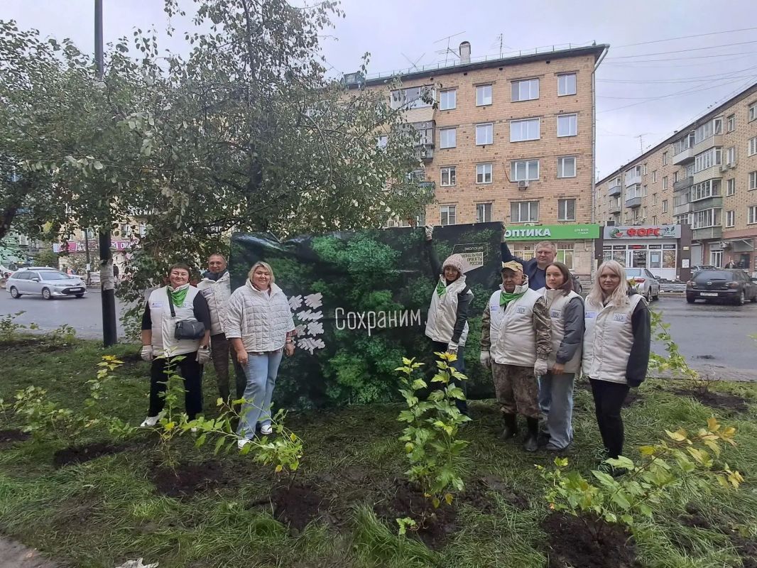 Сегодня на улице Сурикова в Красноярске появились молодые яблони и кустарники пузыреплодника Сегодня на улице Сурикова в Красноярске появились молодые яблони и кустарники пузыреплодника