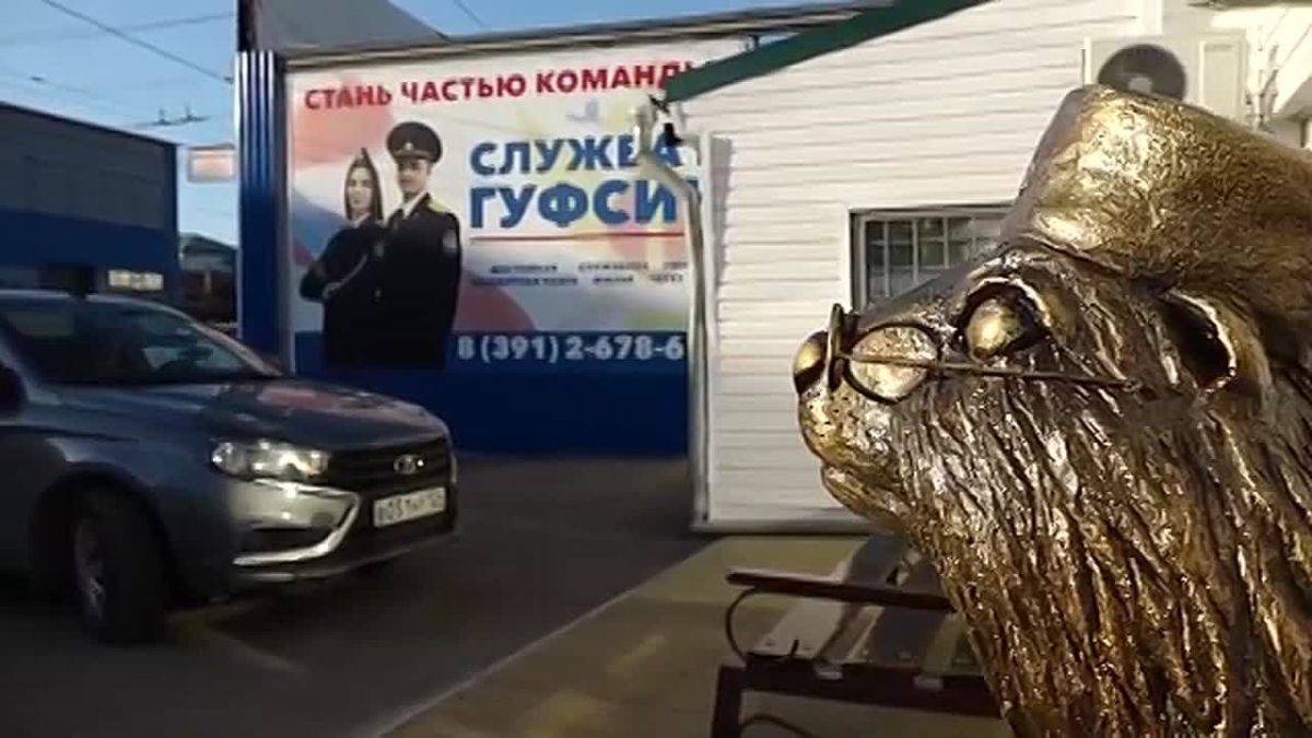 У КРАСНОЯРСКОЙ БОЛЬНИЦЫ ПОСЕЛИЛСЯ БОБР В ОБРАЗЕ ВРАЧА