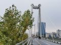 До +7°C и дождь: последние выходные сентября принесут в Красноярск похолодание