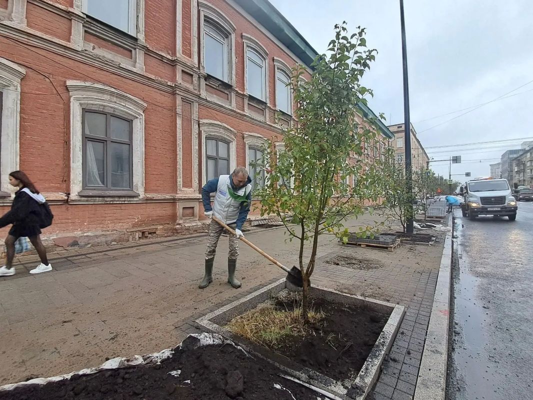 Сегодня на улице Сурикова в Красноярске появились молодые яблони и кустарники пузыреплодника Сегодня на улице Сурикова в Красноярске появились молодые яблони и кустарники пузыреплодника