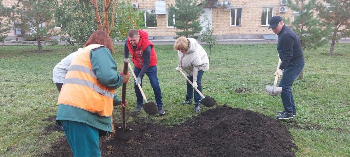 Сегодня депутаты и сотрудники аппарата горсовета приняли участие в осеннем общегородском субботнике Сегодня депутаты и сотрудники аппарата горсовета приняли участие в осеннем общегородском субботнике