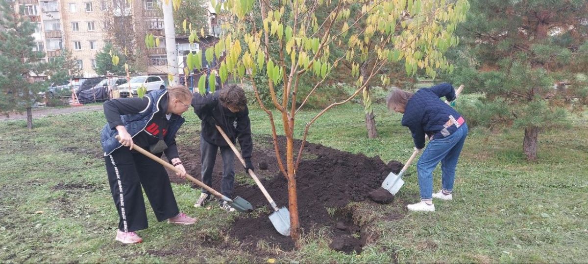 Сегодня депутаты и сотрудники аппарата горсовета приняли участие в осеннем общегородском субботнике Сегодня депутаты и сотрудники аппарата горсовета приняли участие в осеннем общегородском субботнике