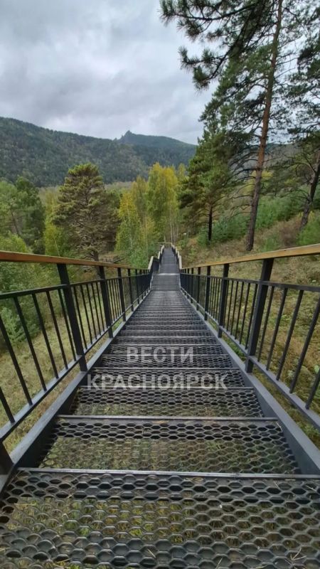 Торгашинскую лестницу в Красноярске закрыли для посещения туристов из-за высокой активности медведей, сообщили в администрации города Торгашинскую лестницу в Красноярске закрыли для посещения туристов из-за высокой активности медведей, сообщили в администрации города