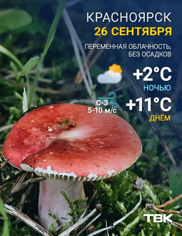 Погода на сегодня