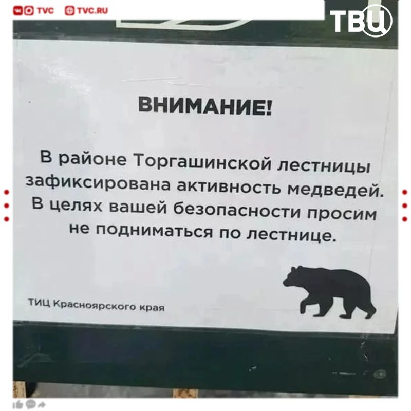 Самую длинную лестницу в России закрыли для посетителей из-за медведей