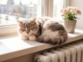 Горячие линии по отоплению запустили во всех районах Красноярска