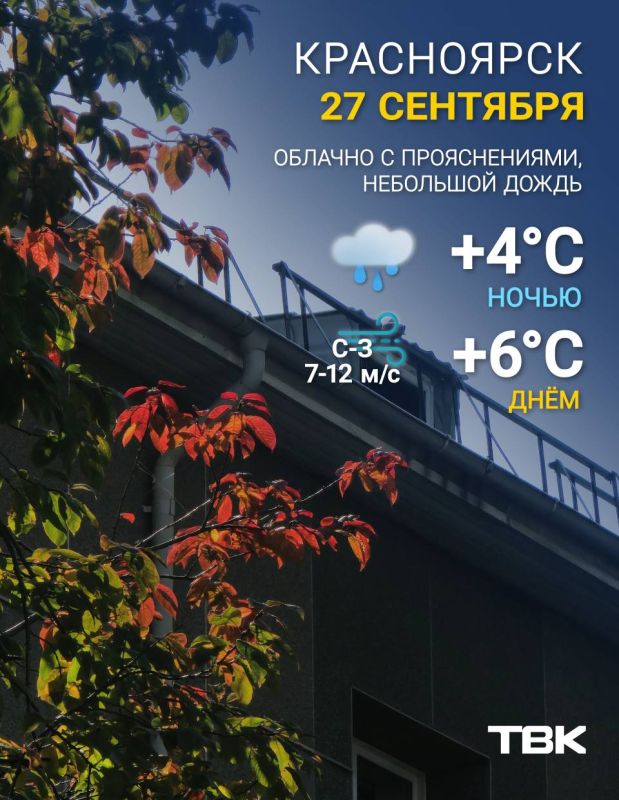 Погода на сегодня. ТВК в MAX | Telegram | ВК | Буст