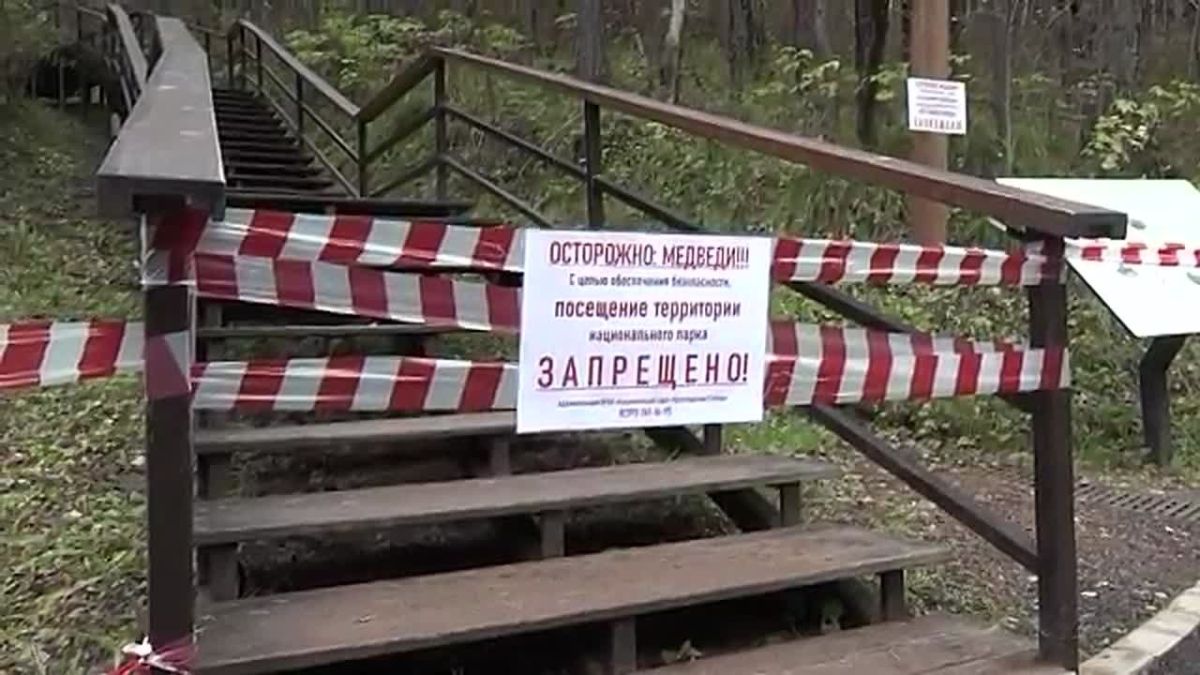 ВХОД ЗАКРЫТ: ВСЛЕД ЗА «СТОЛБАМИ» ОГРАНИЧИЛИ ПРОХОД НА ТОРГАШИНСКУЮ ЛЕСТНИЦУ