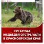 729 медведей отстрелили в Красноярском крае — за последний месяц от хищников погибли семь человек