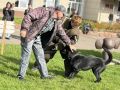 В п. Березовка прошло масштабное профориентационное мероприятие!