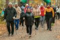 День ходьбы в Красноярске состоится в Татышев-парке
