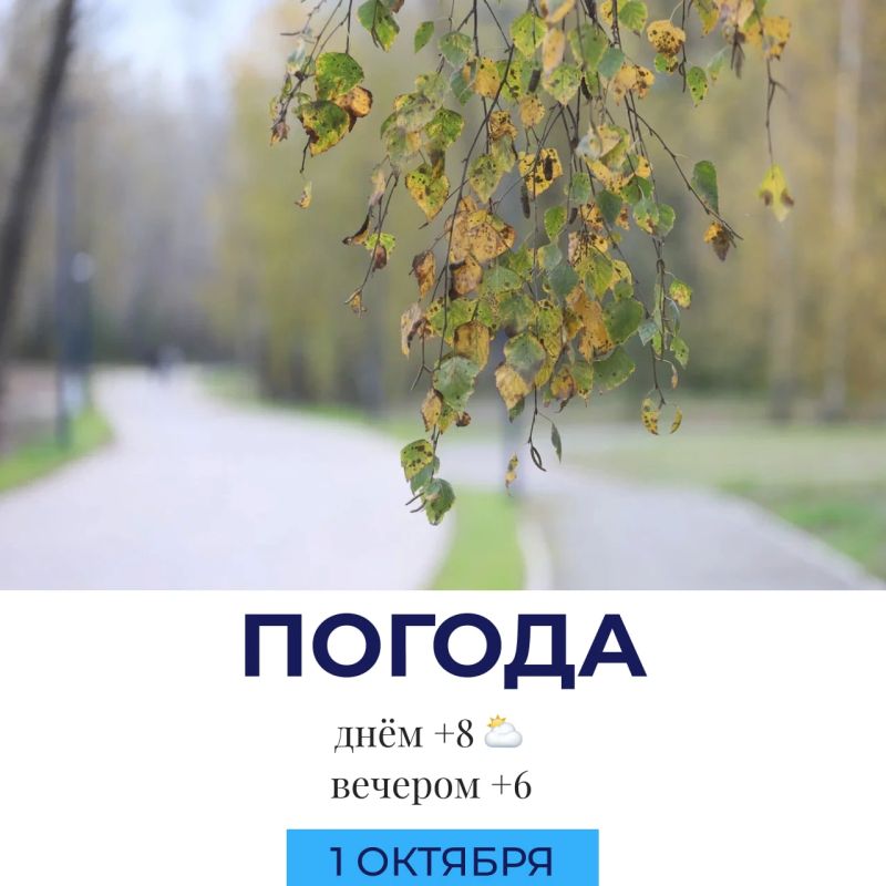 Погода сегодня