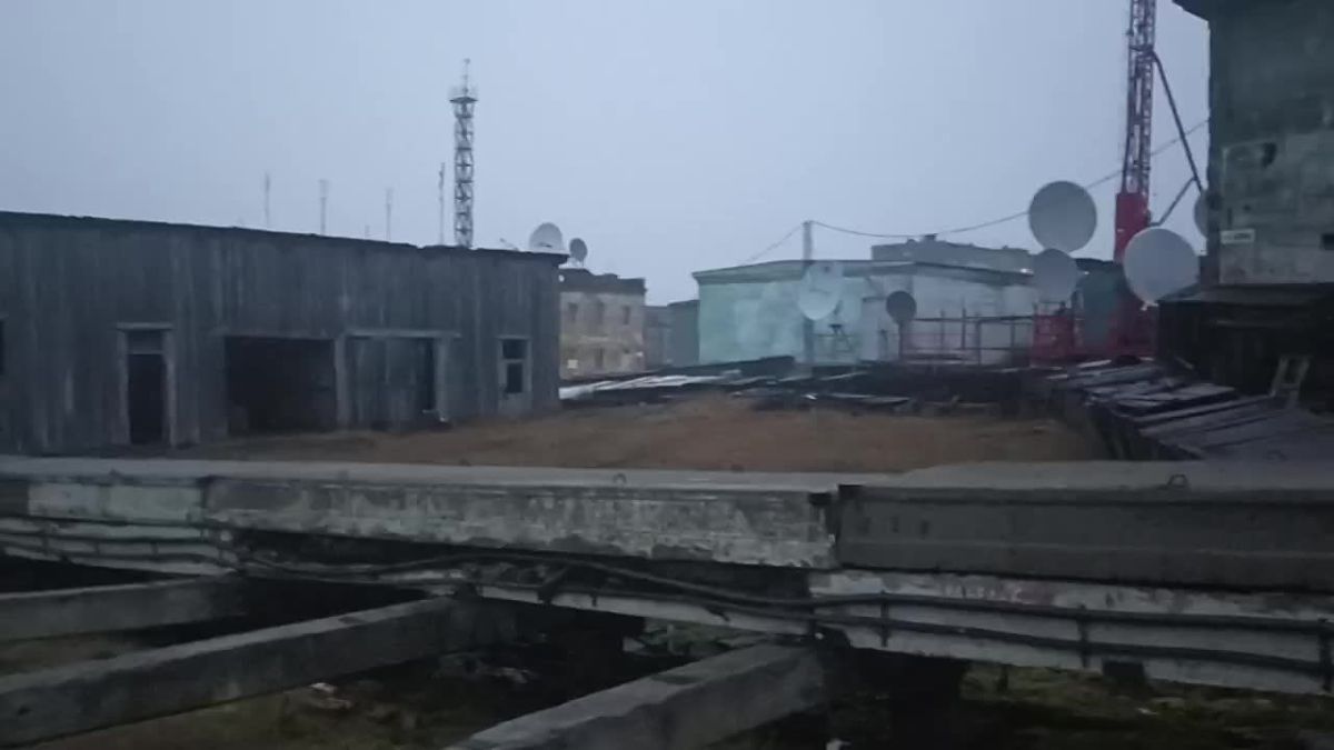 В Диксоне заработали «медвежьи патрули»