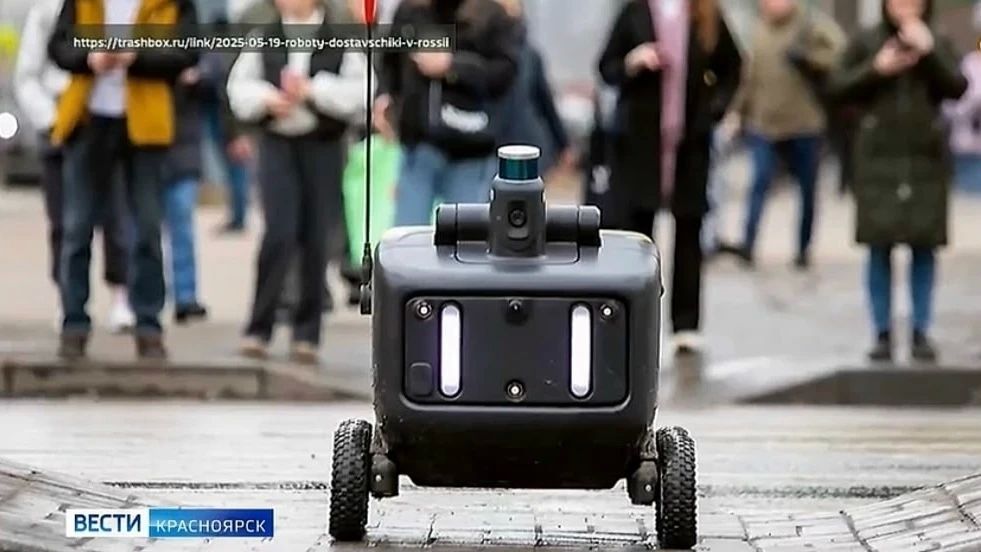 В Красноярске могут появиться роботы-курьеры