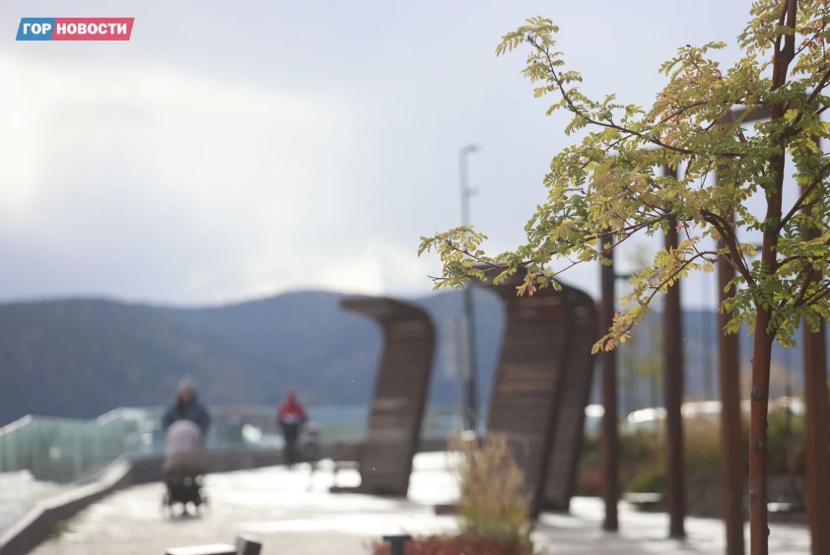Третье октября, баскетбол, Поздеев и хоккей — планы на ближайшую неделю готовы