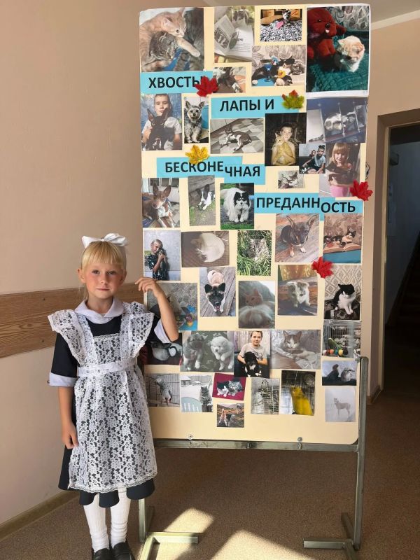 Добрые глаза, пушистые лапы и тёплые сердца