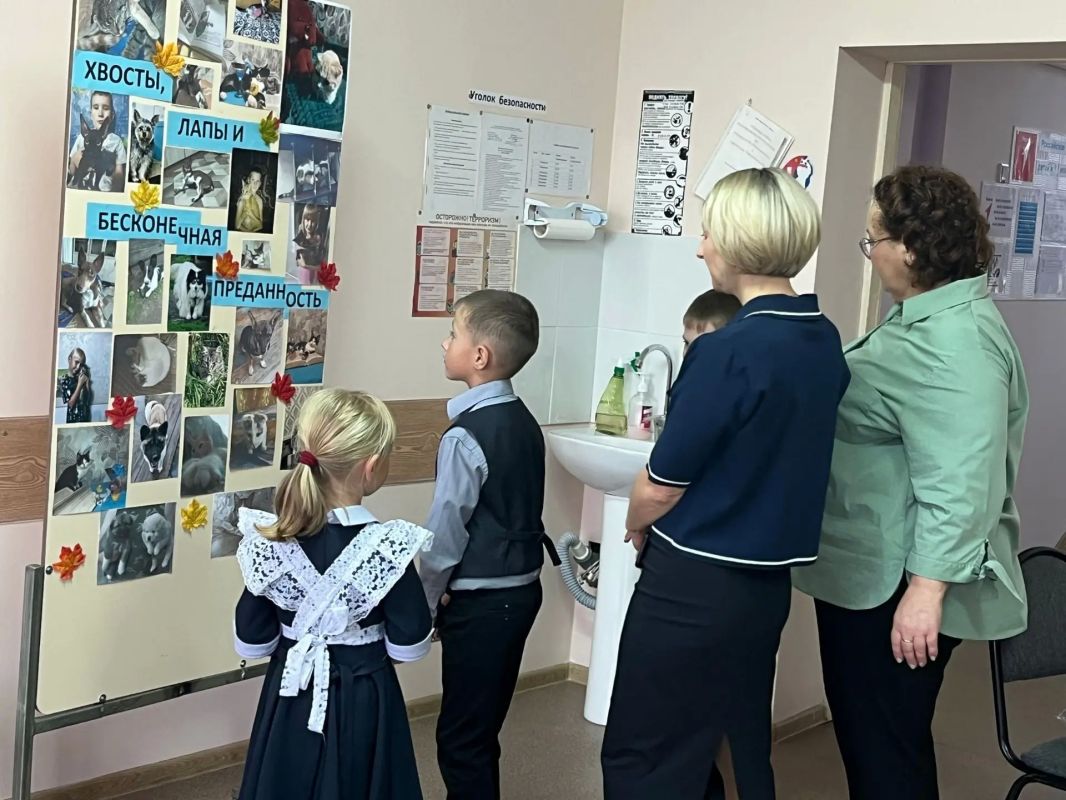 Добрые глаза, пушистые лапы и тёплые сердца Добрые глаза, пушистые лапы и тёплые сердца