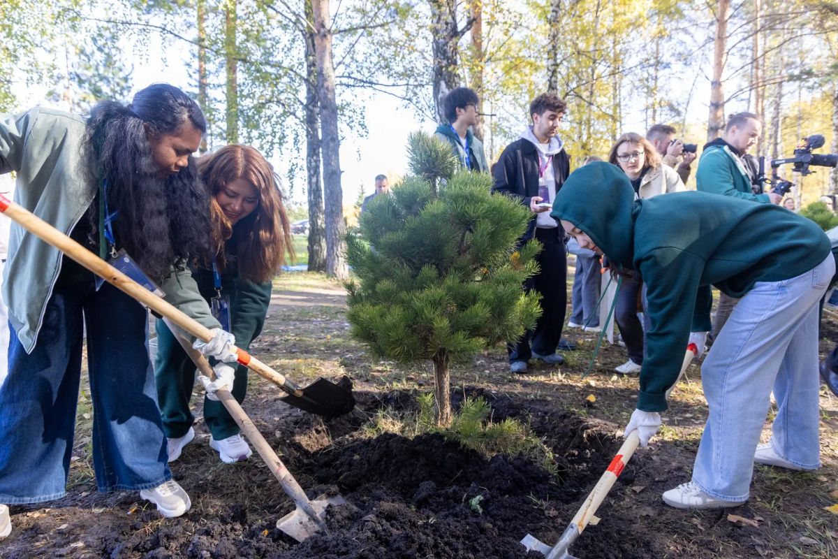 В Красноярске финалисты Олимпиады высадили сосны в знак дружбы