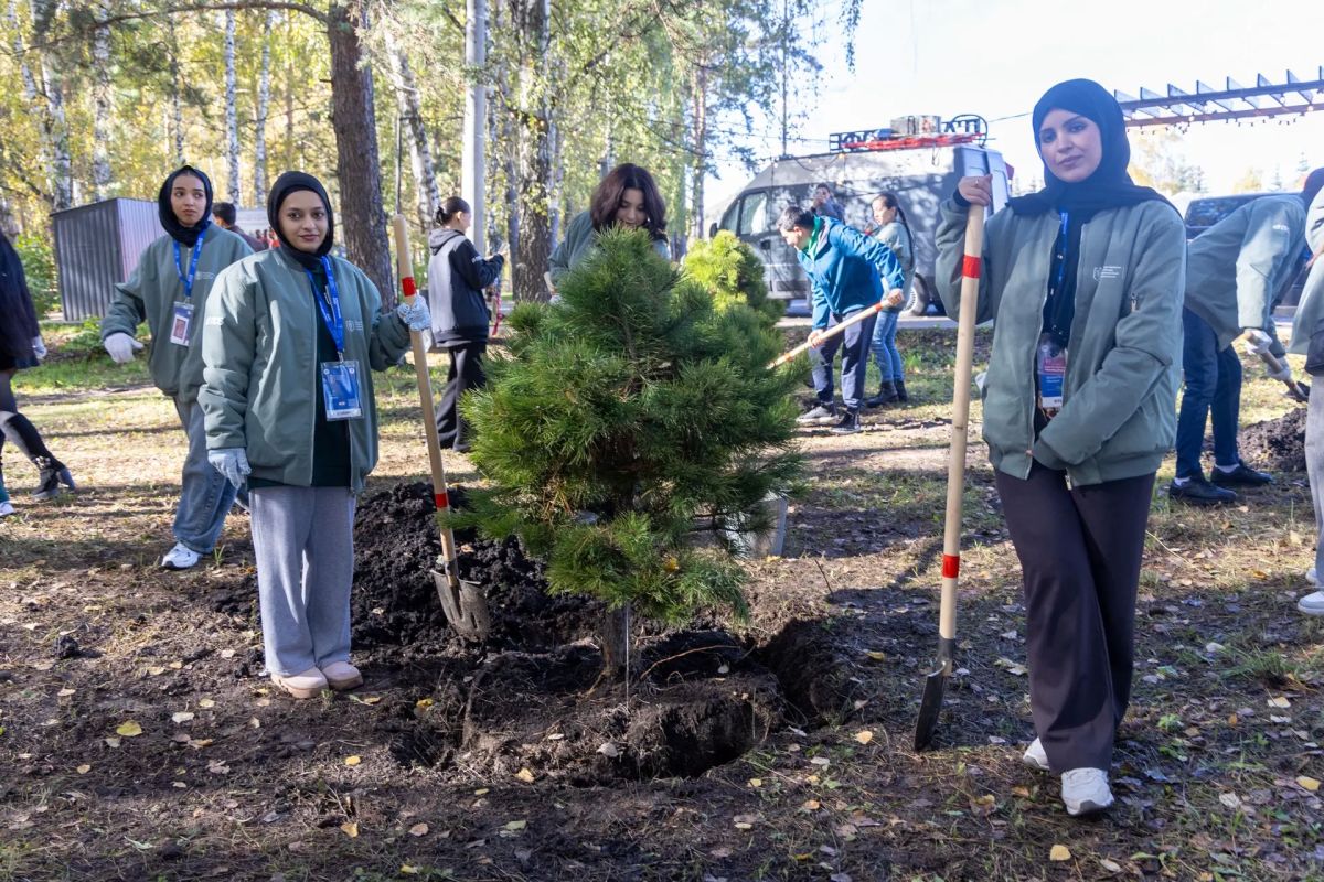 В Красноярске финалисты Олимпиады высадили сосны в знак дружбы В Красноярске финалисты Олимпиады высадили сосны в знак дружбы