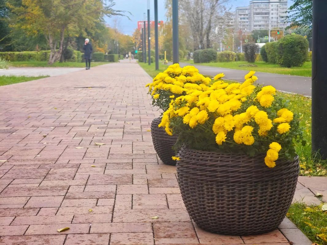 Золотых красок в вашу ленту от любимого города Золотых красок в вашу ленту от любимого города
