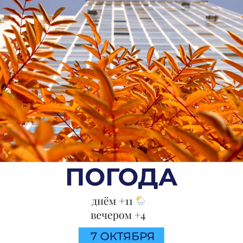 Погода сегодня. @gornovosti «Горновости» в ВК | «Горновости» в МАХ
