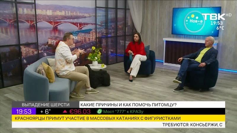 Выпуск Новостей ТВК начнется в 20:00