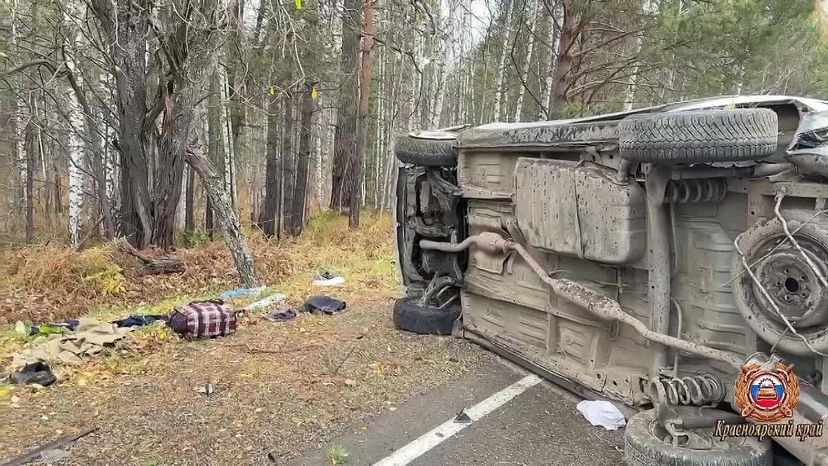 Водитель врезался в дерево и погиб на трассе Красноярск — Енисейск