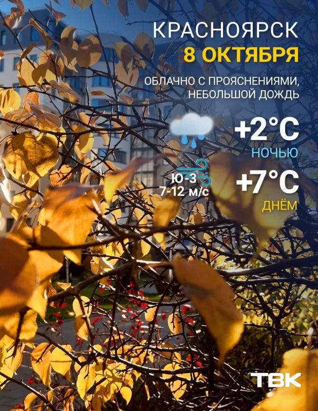 Погода на сегодня