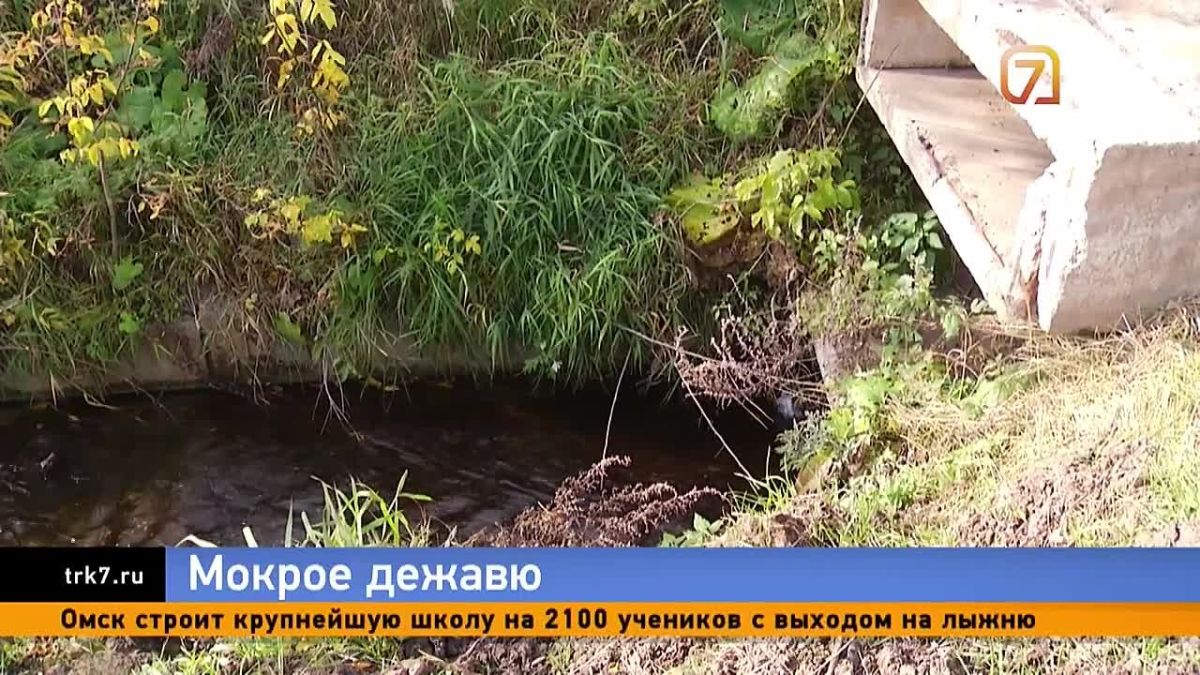 Лодки у крыльца, вода в подвалах, плавающие кровати, а теперь ещё и сдавшие нервы — жители СНТ «Черёмушки-1» не выдерживают битвы с природой