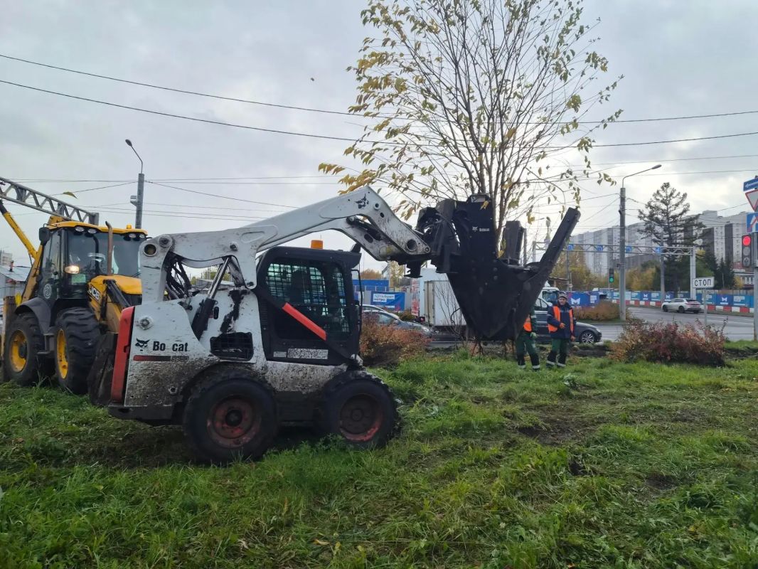 С Николаевского проспекта пересадят 35 деревьев и 250 кустарников