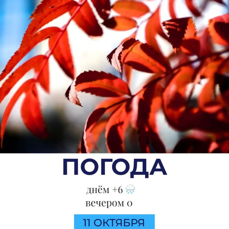 Погода сегодня