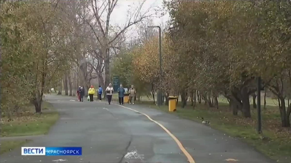 В Красноярске на неделе ожидаются первые заморозки