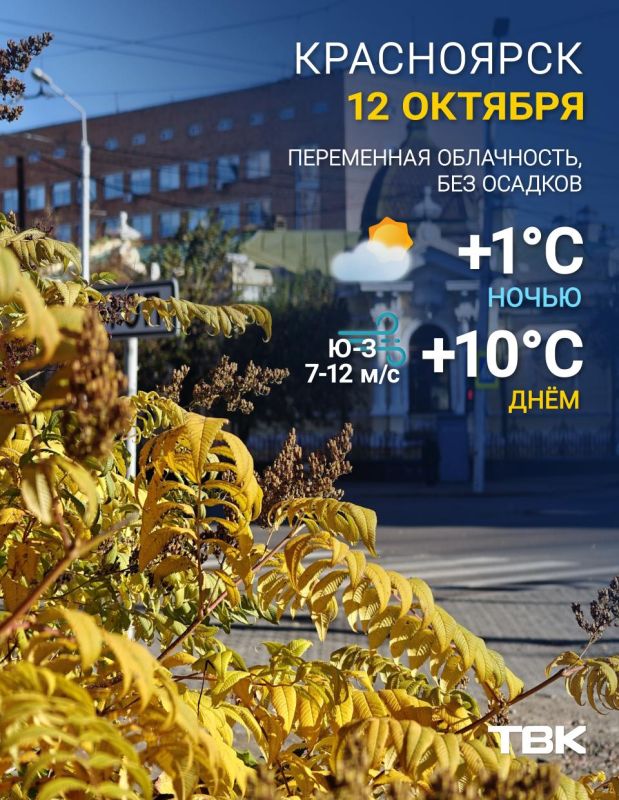 Погода на 12 октября. ТВК в MAX | Telegram | ВК | Буст