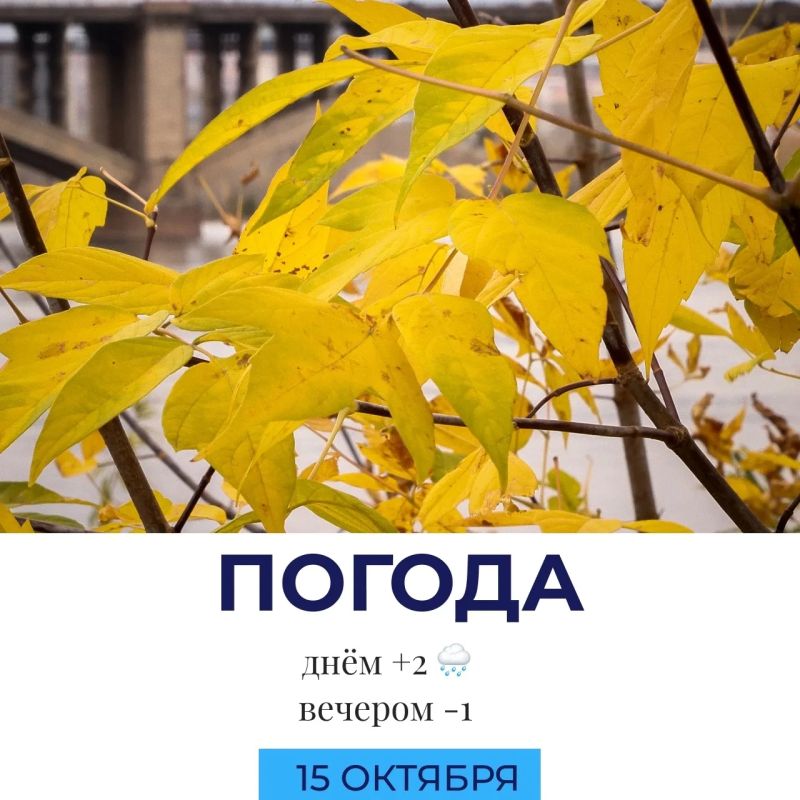 Погода сегодня