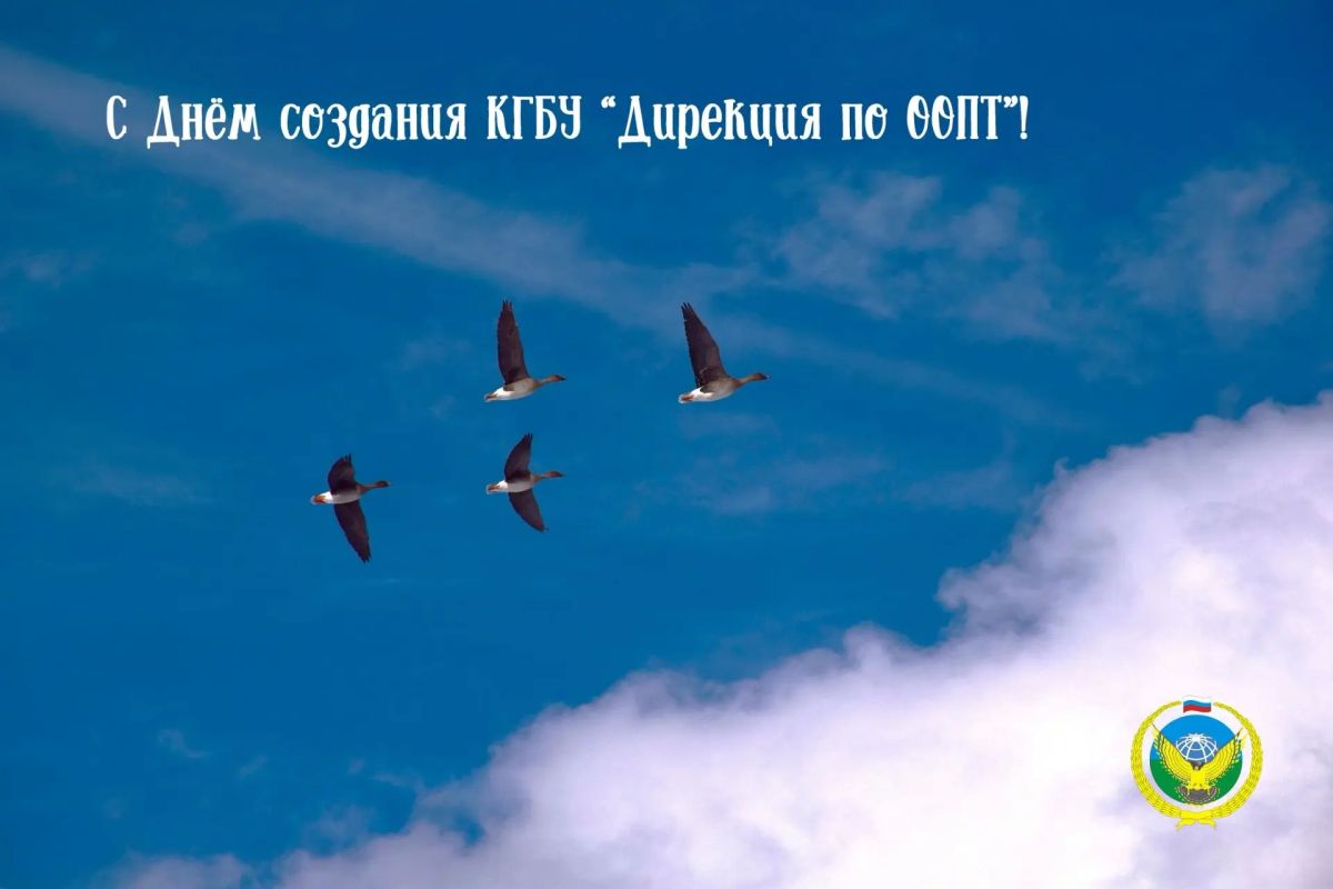 16 октября дирекция по особо охраняемым природным территориям Красноярского края отмечает 26-летие!