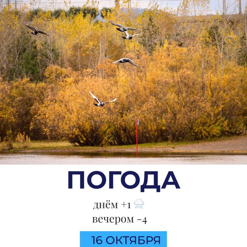 Погода сегодня. @gornovosti «Горновости» в ВК | «Горновости» в МАХ